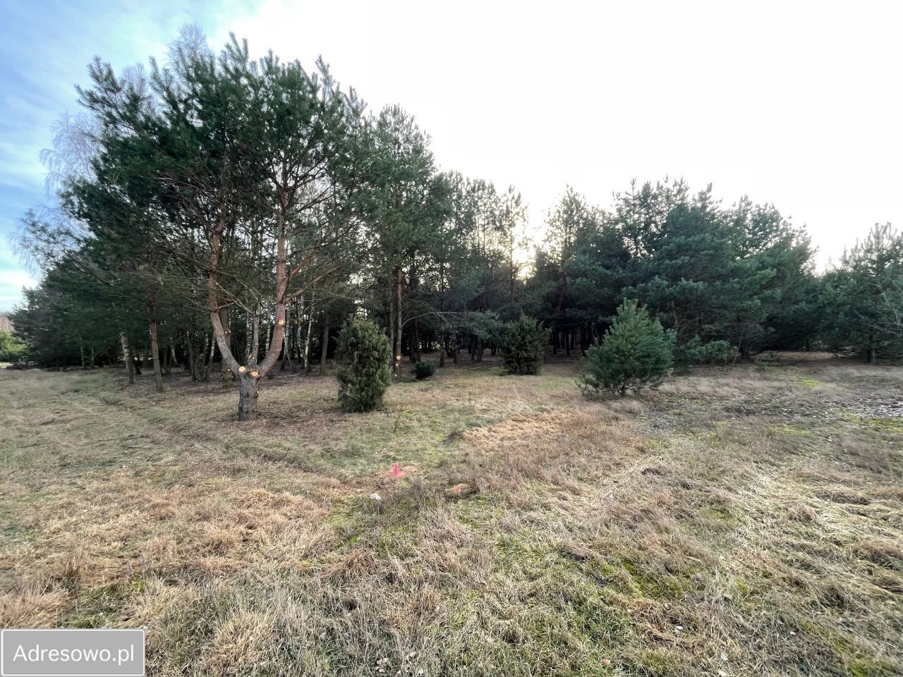 Działka rekreacyjna Majdan Suski