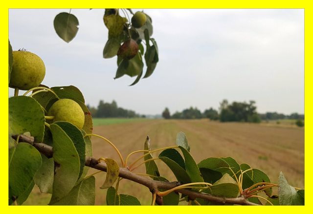 Działka budowlana Leśne Odpadki. Zdjęcie 1