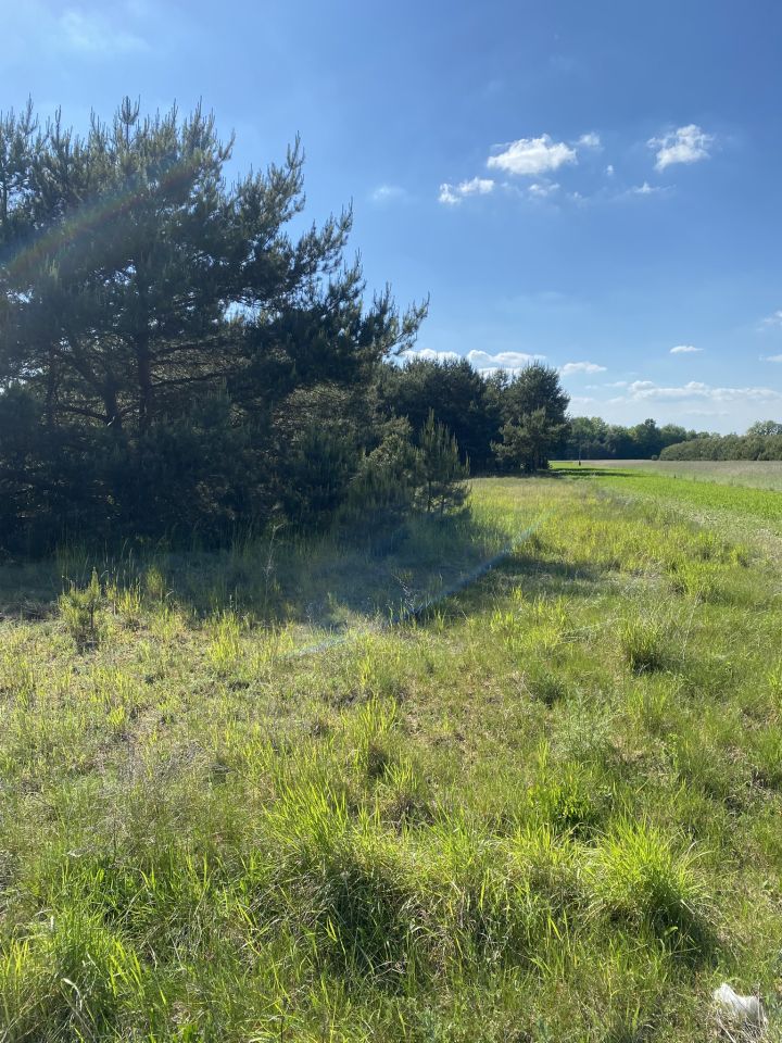 Działka rolno-budowlana Brzozówka. Zdjęcie 8