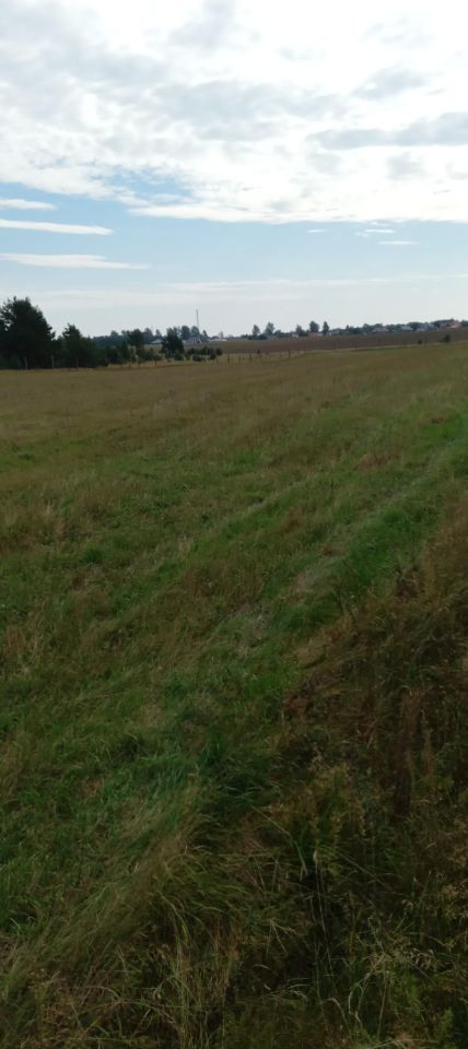 Działka budowlana Kaliska. Zdjęcie 3