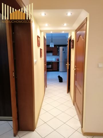 Lokal Warszawa Białołęka, ul. Wiklinowa. Zdjęcie 7