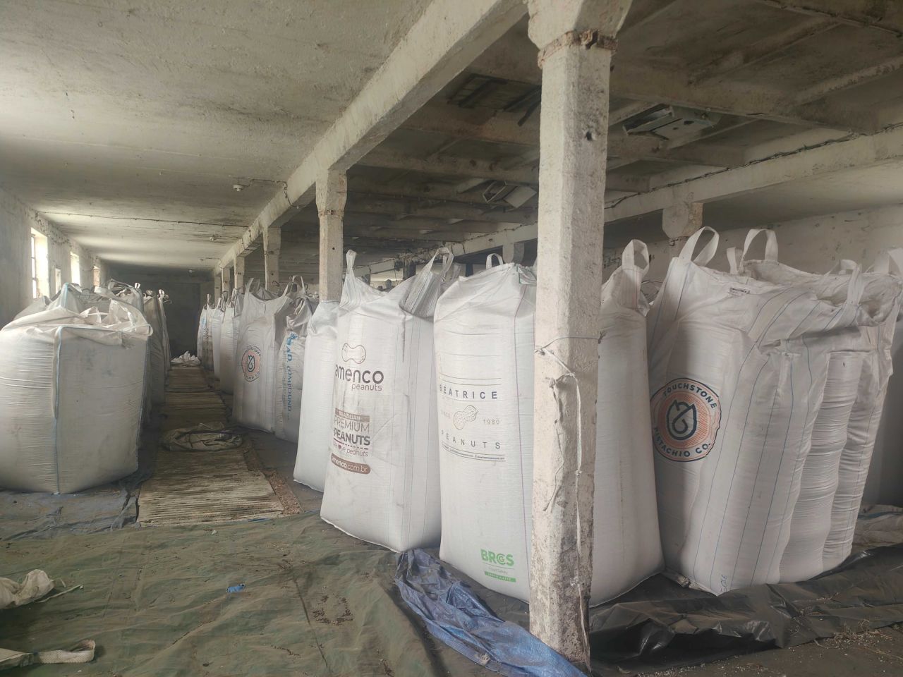 Działka rolna Cieśle Małe. Zdjęcie 6