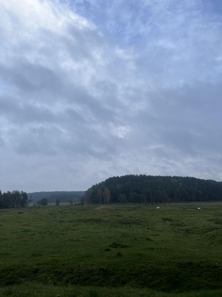 Działka rolna Otnoga Dęby. Zdjęcie 7