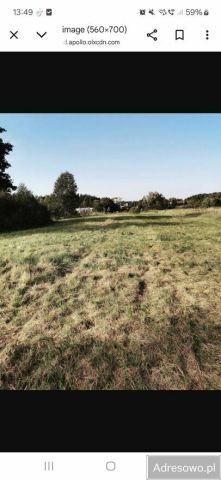 Działka rolno-budowlana Nowy Wilków. Zdjęcie 1