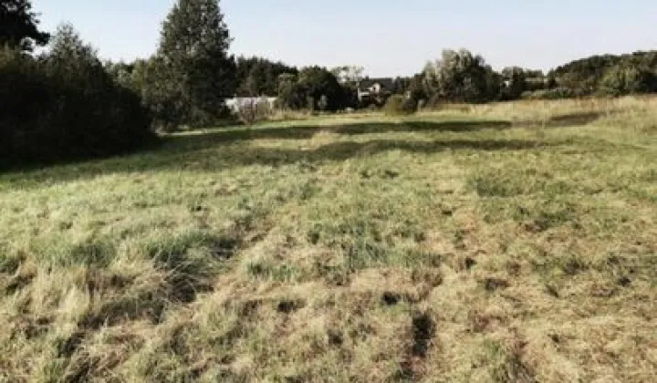 Działka rolno-budowlana Nowy Wilków