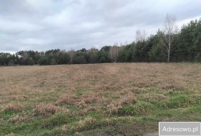 Działka budowlana Łacha, ul. Polnej Róży. Zdjęcie 7