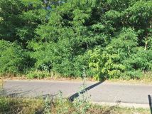 Działka budowlana Podłęże. Zdjęcie 1