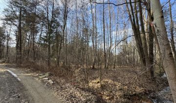 Działka leśna Stare Żukowice