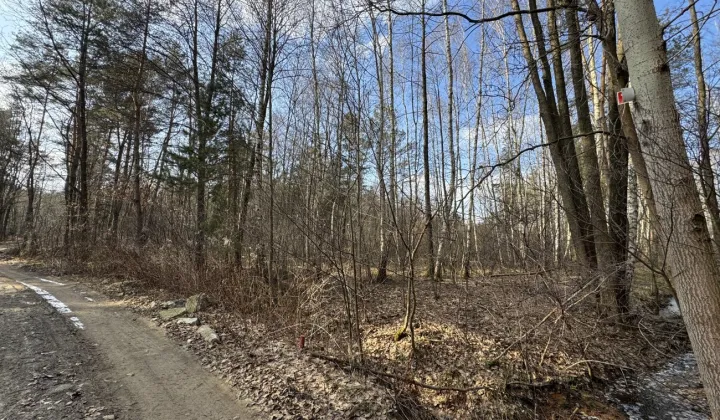 Działka leśna Stare Żukowice