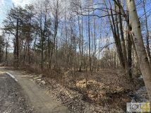 Działka leśna Stare Żukowice