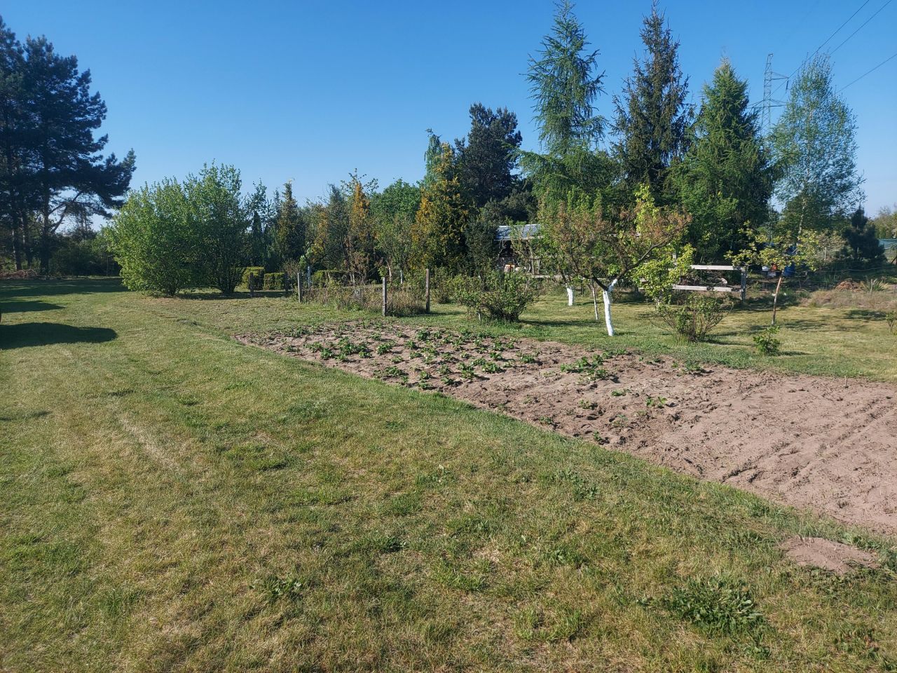 Działka rolna Krościna Mała. Zdjęcie 6