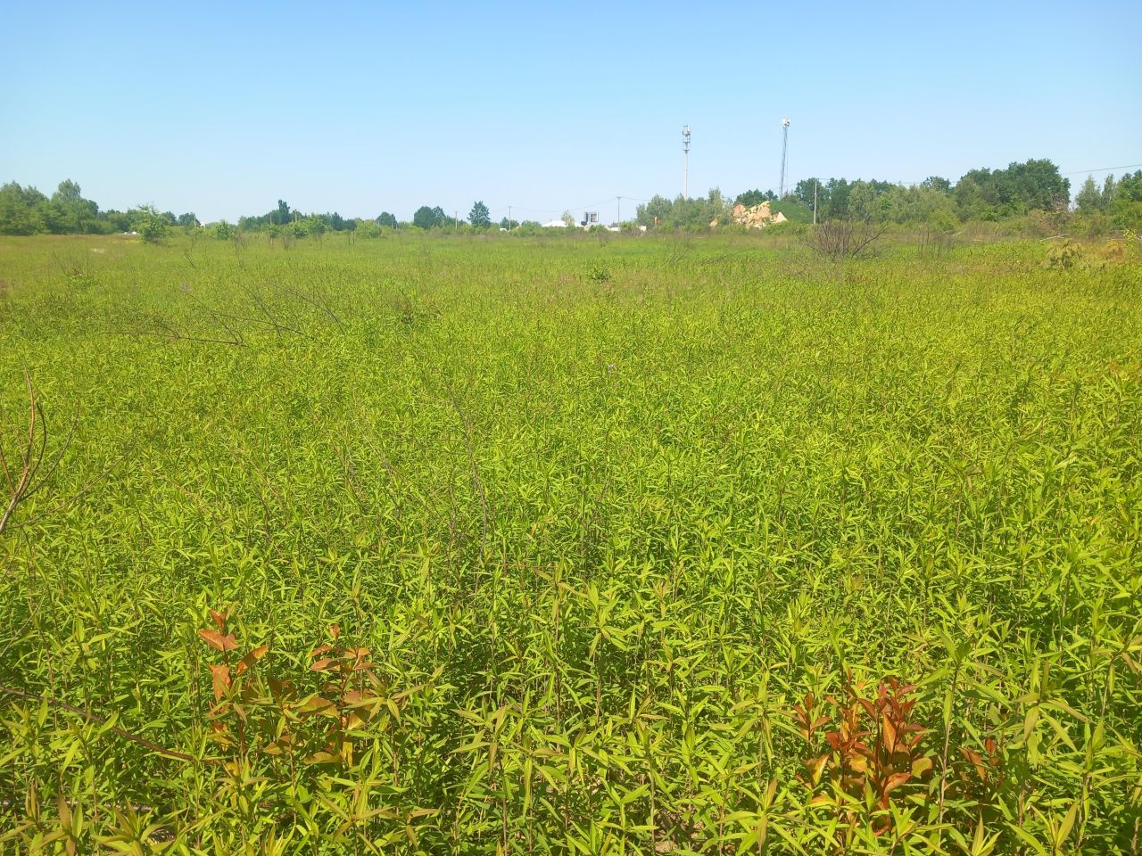 Działka budowlana Dziekanów Polski, ul. Odysei. Zdjęcie 2