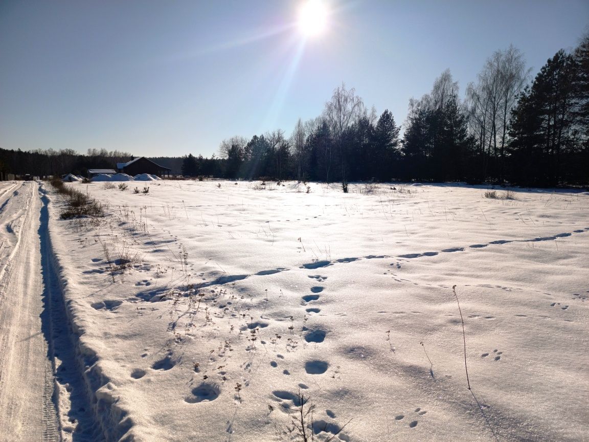 Działka budowlana Arciechów, ul. Starorzecze. Zdjęcie 6