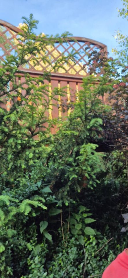 dom wolnostojący, 5 pokoi Sadów Kopce, ul. Powstańców Śląskich. Zdjęcie 80