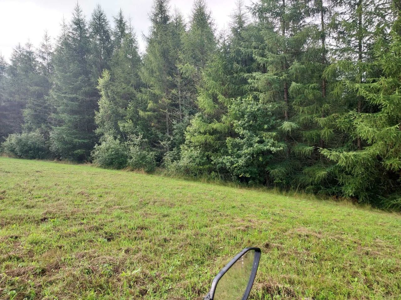 Działka leśna Kreców. Zdjęcie 4