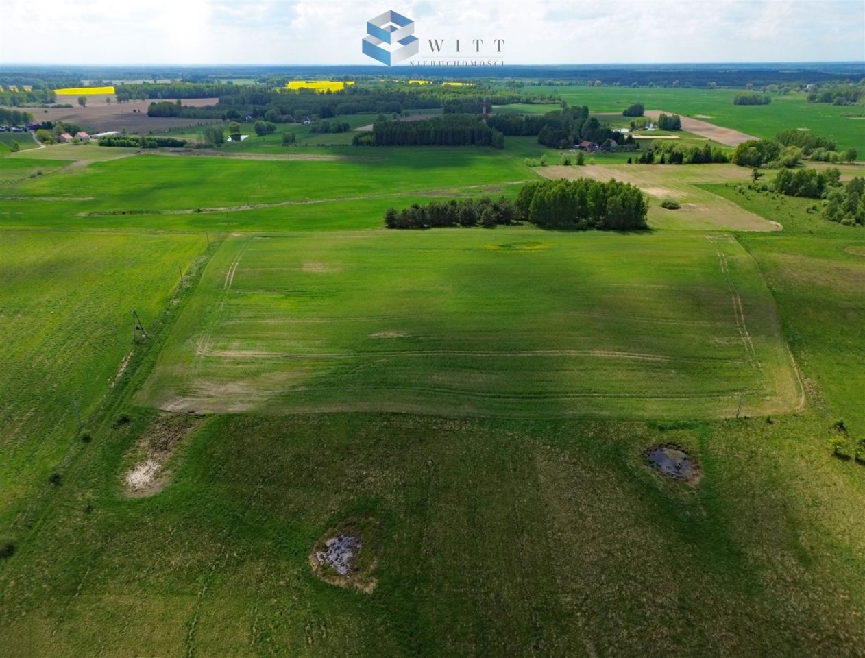 Działka rolna Liwa. Zdjęcie 16