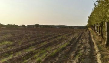 Działka rolno-budowlana Kicin, ul. św. Jakuba