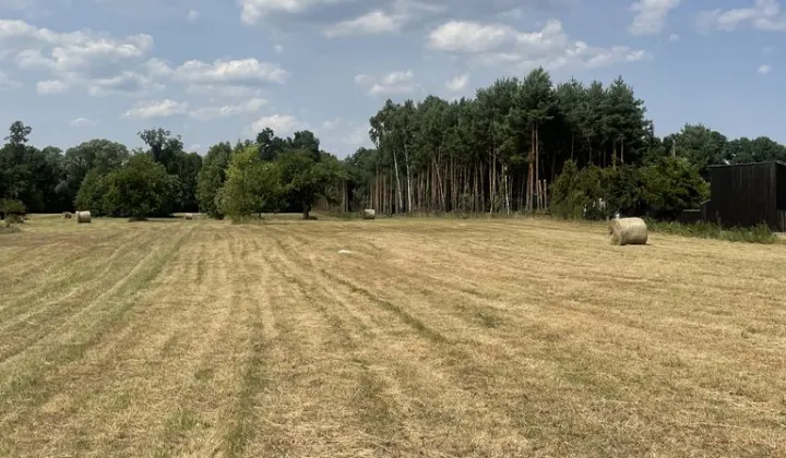 Działka rolno-budowlana Michałów