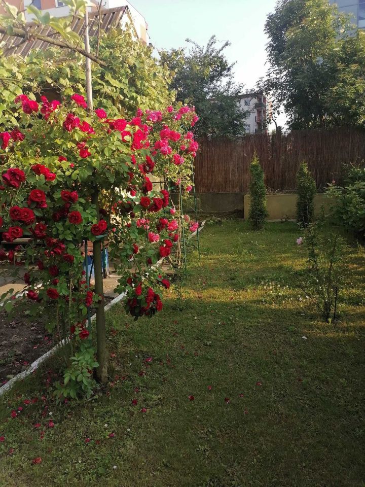 Działka rod Głogów. Zdjęcie 8