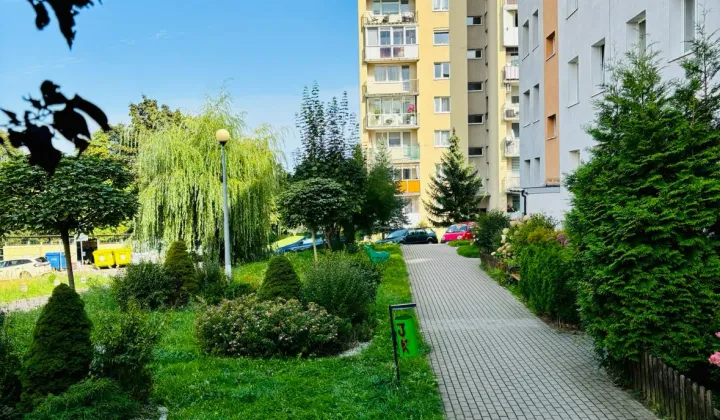 Mieszkanie 3-pokojowe Zielona Góra Przyjaźń, ul. Kraljevska