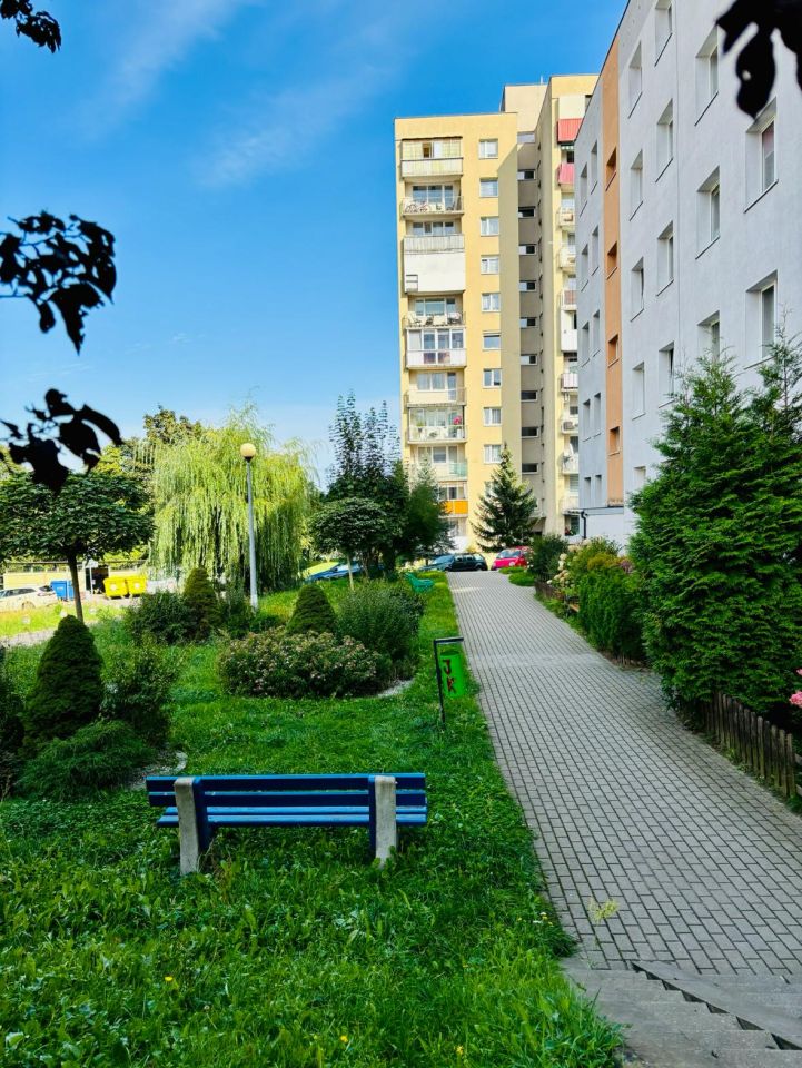 Mieszkanie 3-pokojowe Zielona Góra Przyjaźń, ul. Kraljevska. Zdjęcie 2