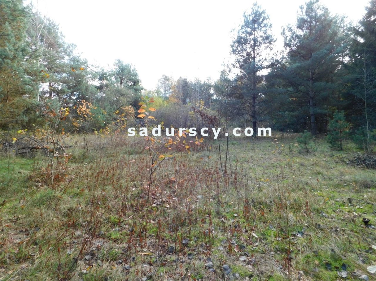 Działka budowlana Biały Ług. Zdjęcie 25