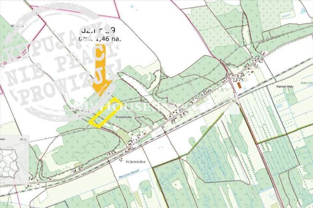 Działka leśna Krześniczka. Zdjęcie 1