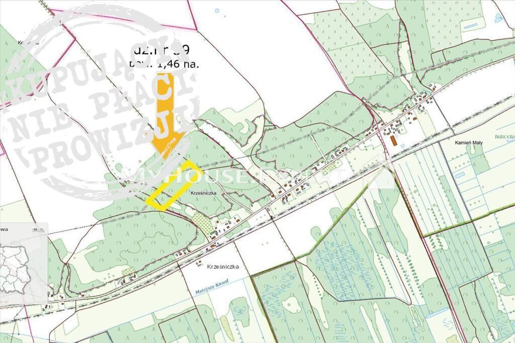 Działka leśna Krześniczka. Zdjęcie 1