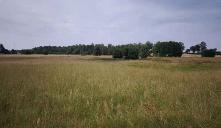 Działka rolno-budowlana Barkowo