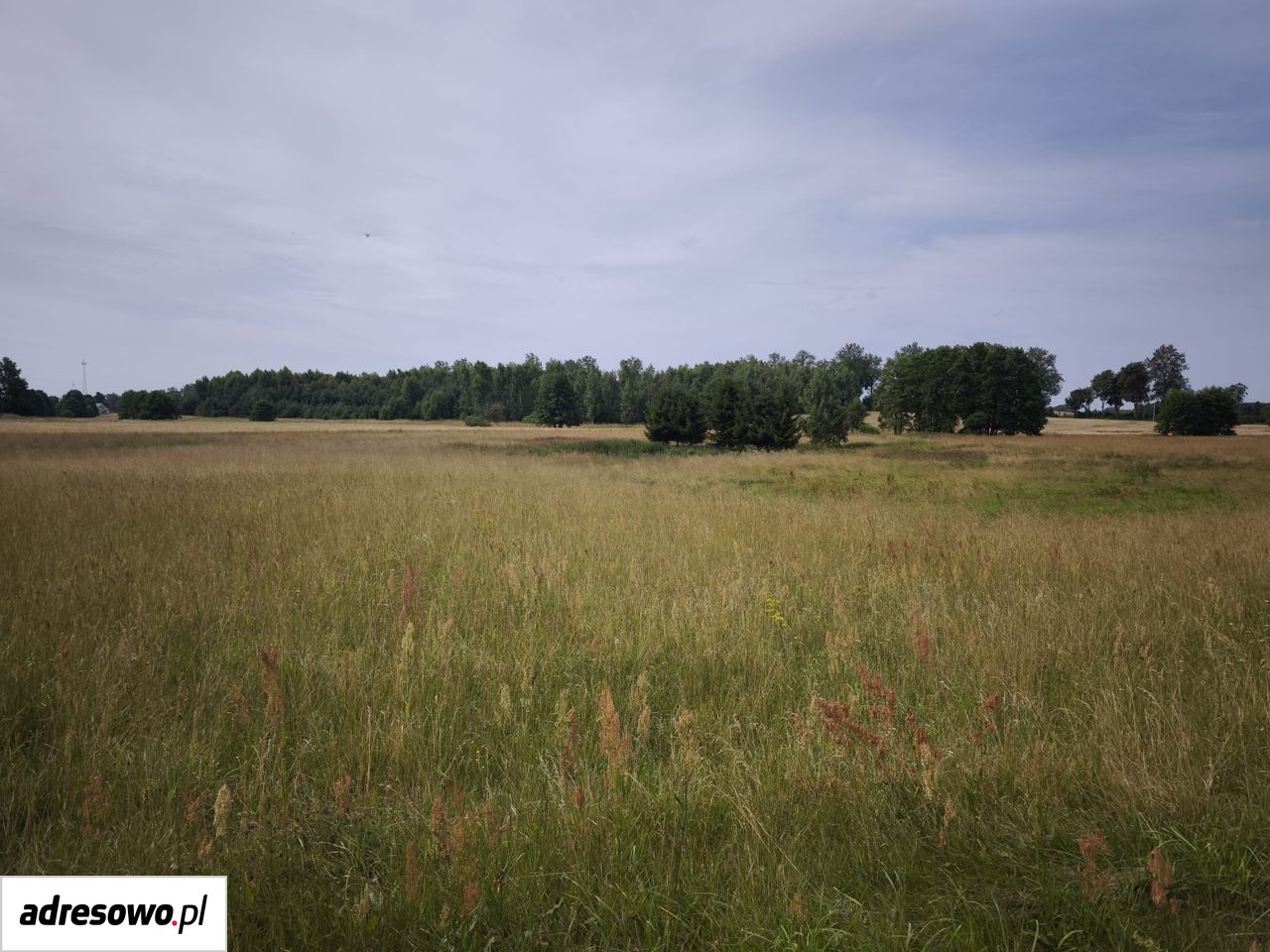 Działka rolno-budowlana Barkowo. Zdjęcie 1