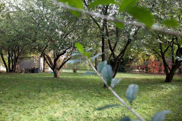 Działka rod Warszawa Wawer, ul. Skalnicowa. Zdjęcie 10