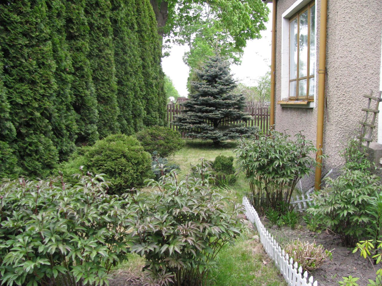 dom wolnostojący, 3 pokoje Fasty, ul. Szosa Knyszyńska. Zdjęcie 8