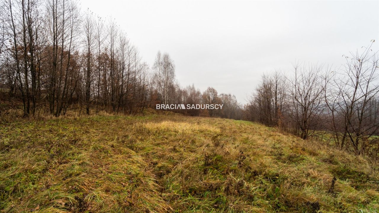 Działka rolno-budowlana Podstolice. Zdjęcie 5