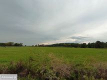 Działka budowlana Krubki-Górki. Zdjęcie 2