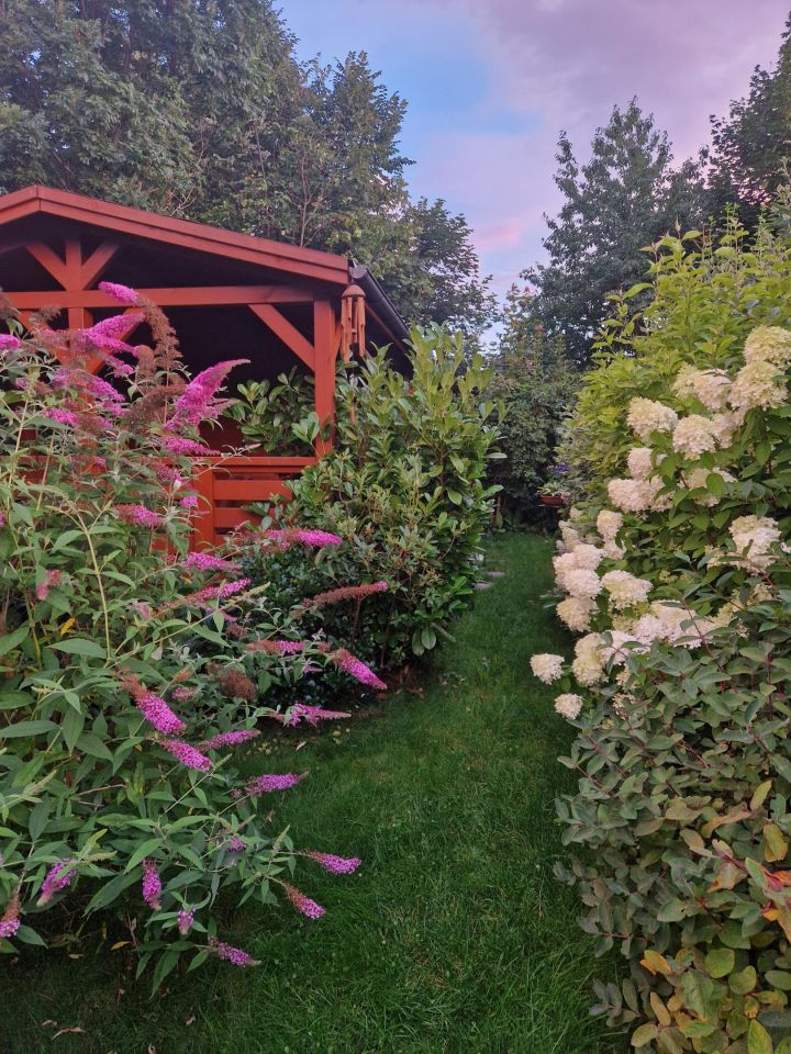 Działka rod Starachowice Skałka, ul. Zielona