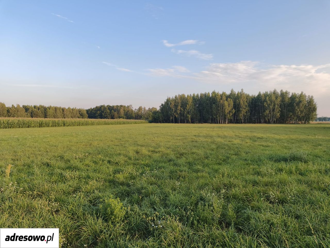 Działka budowlana Makowica. Zdjęcie 5