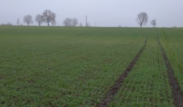Działka budowlana Branica Nad Szosą
