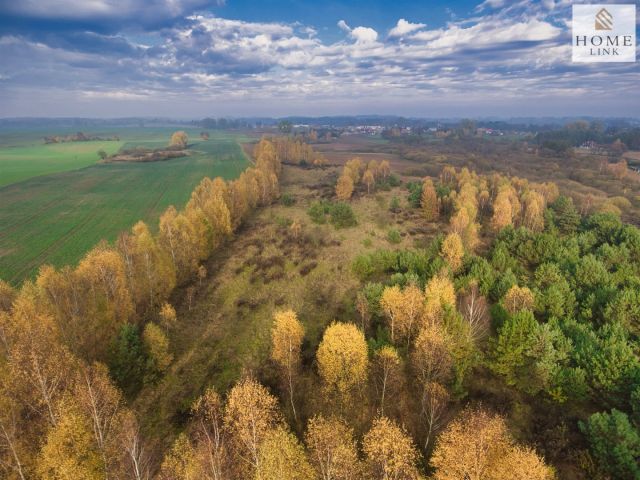 Działka siedliskowa Samin. Zdjęcie 14