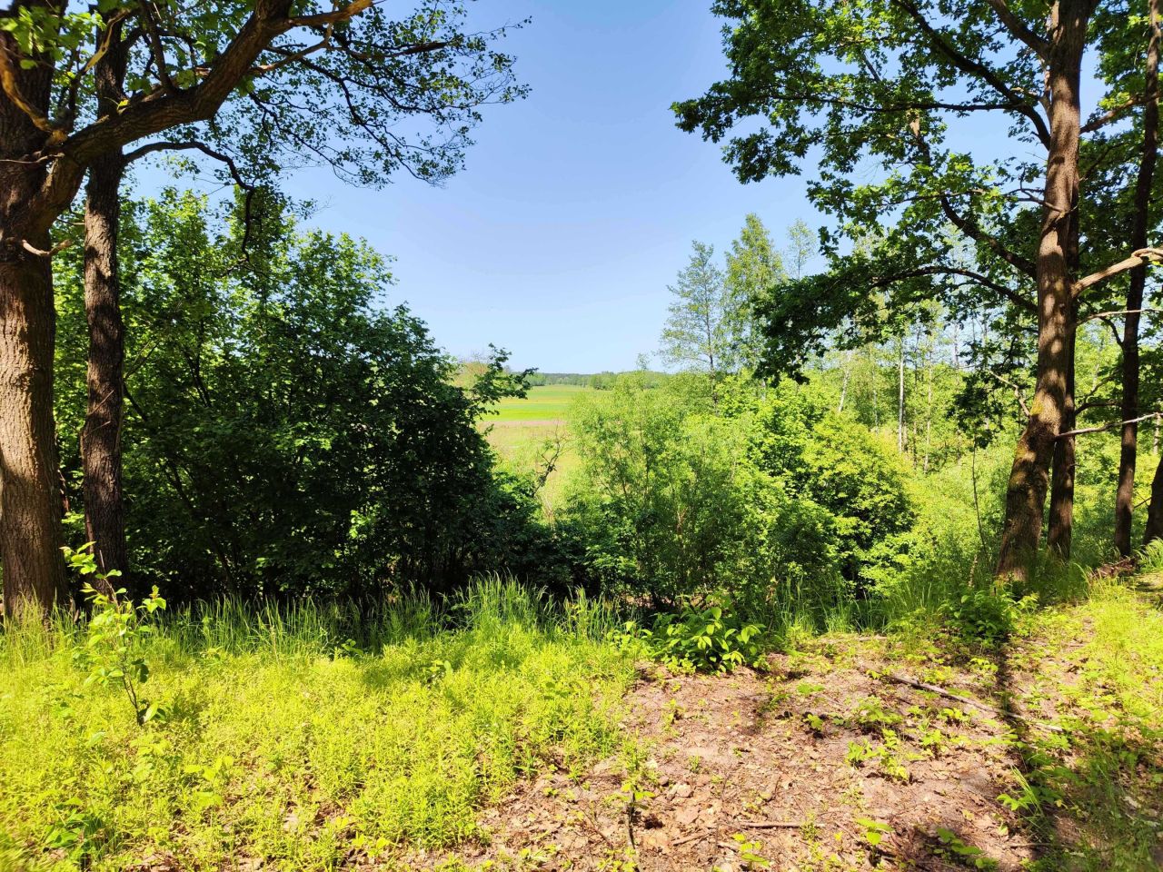 Działka budowlana Sobibór. Zdjęcie 6