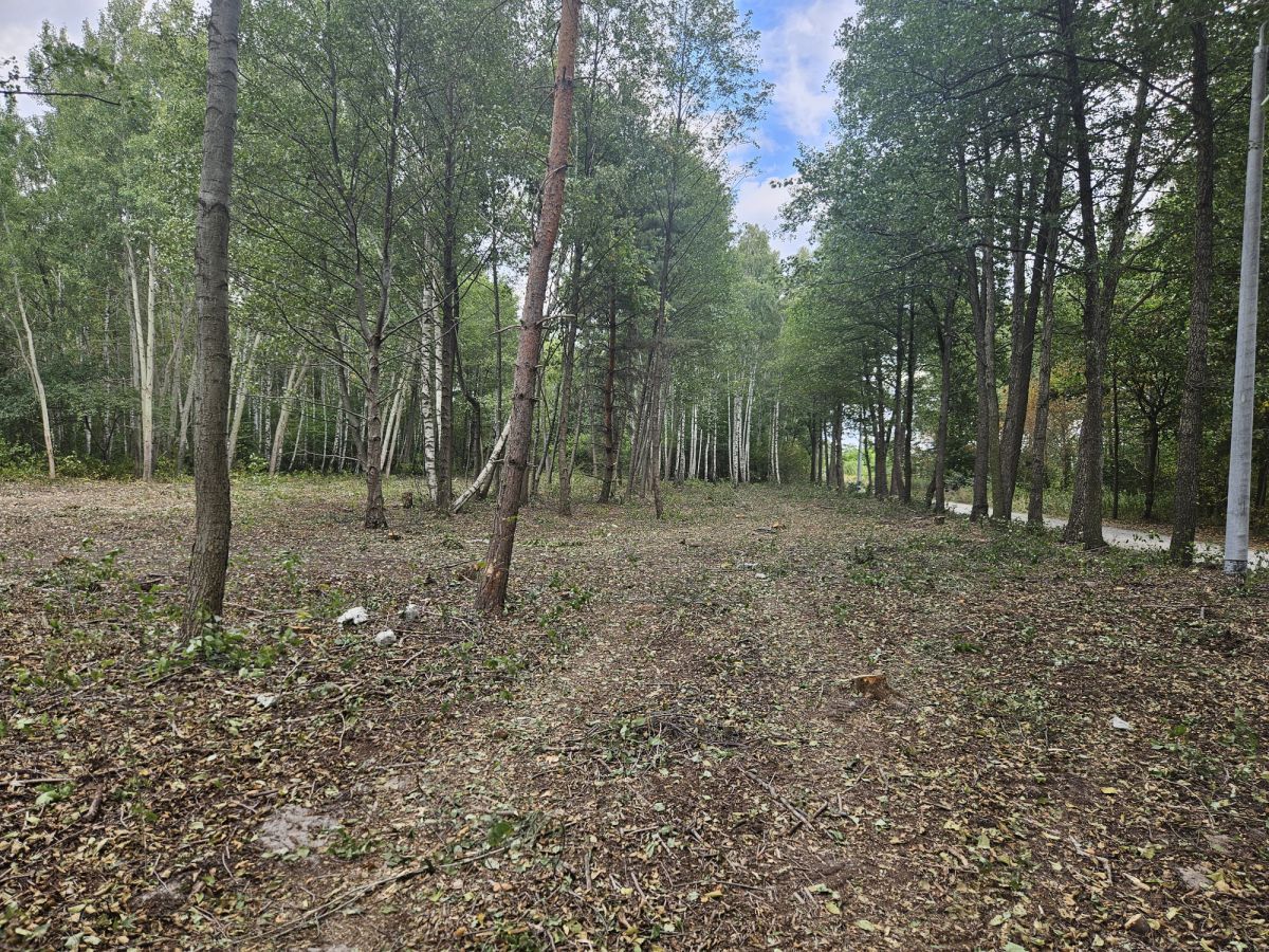 Działka budowlana Żanęcin, ul. Gościniec. Zdjęcie 7