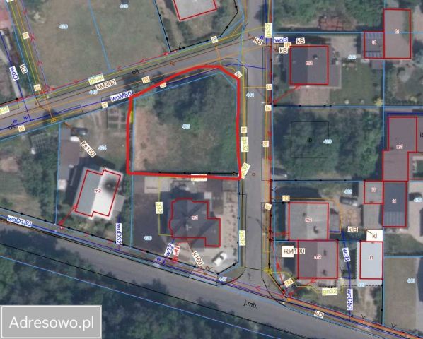 Działka rolna Palaty, ul. Dębowa. Zdjęcie 1