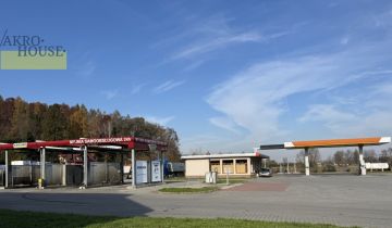 Lokal Dynów, ul. Karolówka