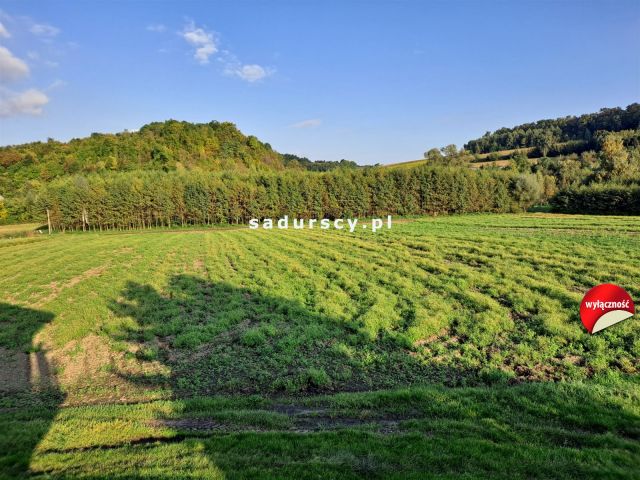 Działka rolna Polekarcice. Zdjęcie 2