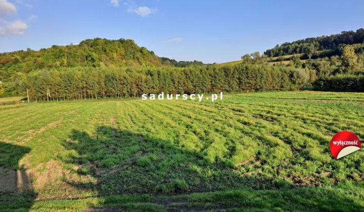 Działka rolna Polekarcice