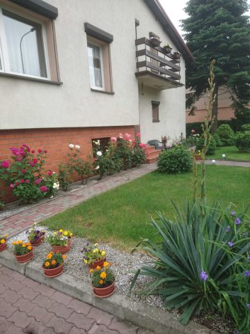 dom wolnostojący, 7 pokoi Rybnik Maroko-Nowiny, ul. Żytnia. Zdjęcie 1