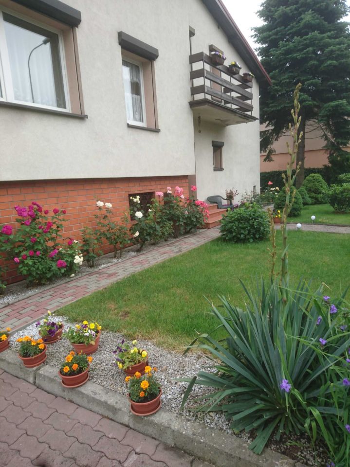 dom wolnostojący, 7 pokoi Rybnik Maroko-Nowiny, ul. Żytnia