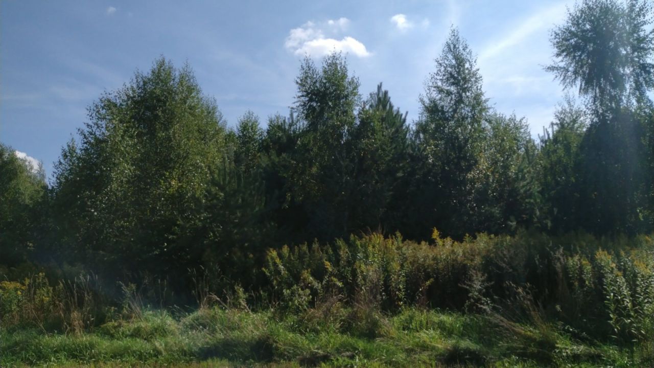 Działka rolna Trawniki. Zdjęcie 3