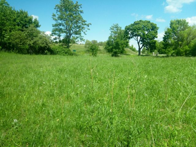 Działka rolno-budowlana Nowe Guty, Nowe Guty. Zdjęcie 4
