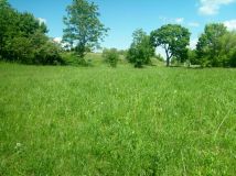 Działka rolno-budowlana Nowe Guty. Zdjęcie 3