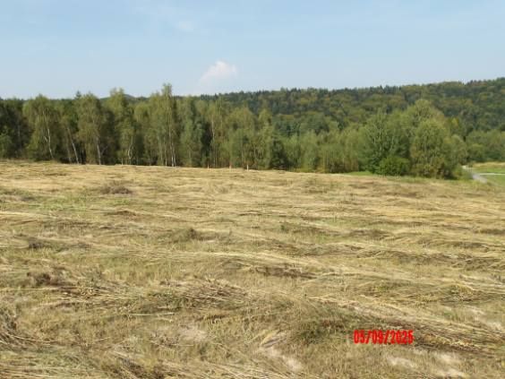 Działka rolno-budowlana Glinik Średni Zakamieniec. Zdjęcie 3